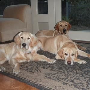 Meet your Posher, Marianne